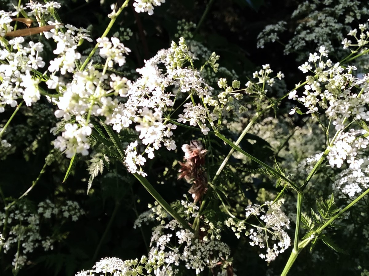 Огненно, пламенно